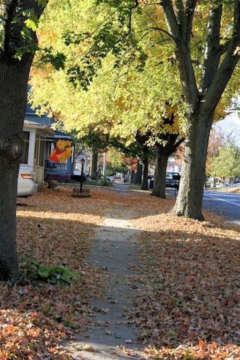 Elmwood IL in Fall